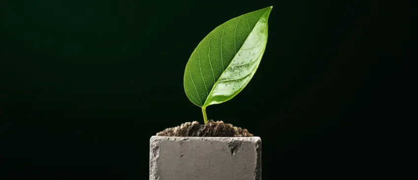 Six Smart Uses for Recycled Concrete