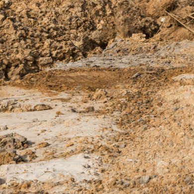 Bank_Run_Chaney_Enterprises